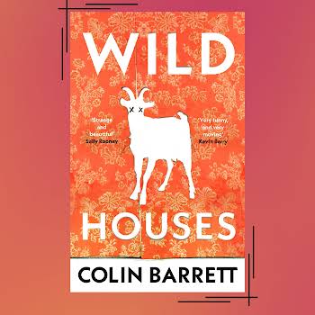 Wild Houses Colin Barrett