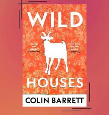 Wild Houses Colin Barrett