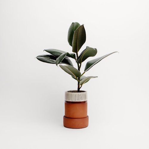 Tall Plant Pot, €52, Irish Design Shop