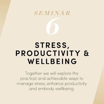 THE CAREER COACH: Seminar 6 Your Stress, Productivity & Wellbeing
