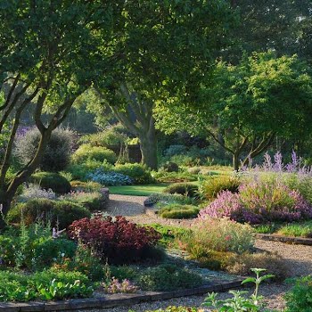 Here’s how to create a retro-inspired rockery garden
