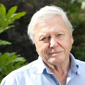 Fancy a science lesson from David Attenborough? He’s just one of the teachers on BBC’s virtual school