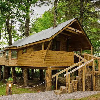 Cosy cabins: 6 woodland retreats to book for your next staycation