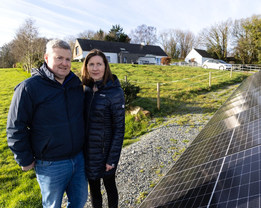 How solar panels caused a ripple effect of sustainability for one Irish family