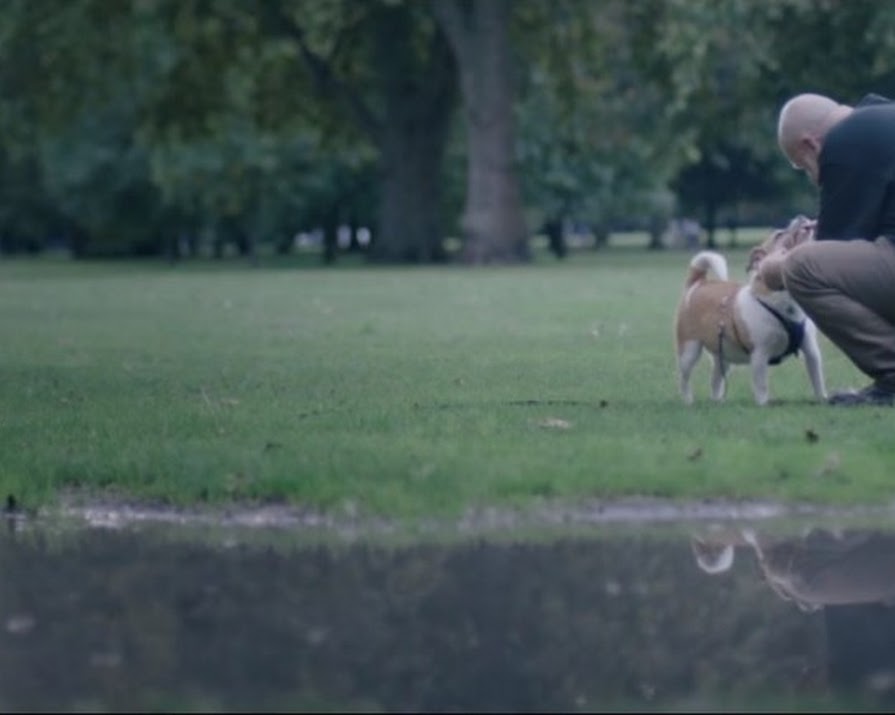 This Ad For Animal Adoption Will Tug All The Heartstrings
