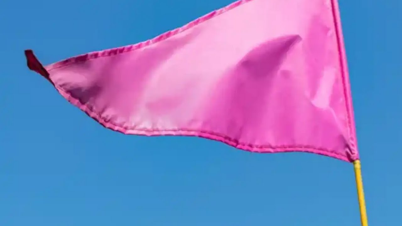 Pink flags and hesidating are the latest relationship buzzwords calling ...