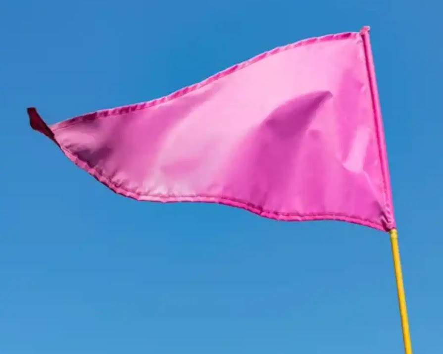 Pink flags and hesidating are the latest relationship buzzwords calling for a more considered approach to modern love