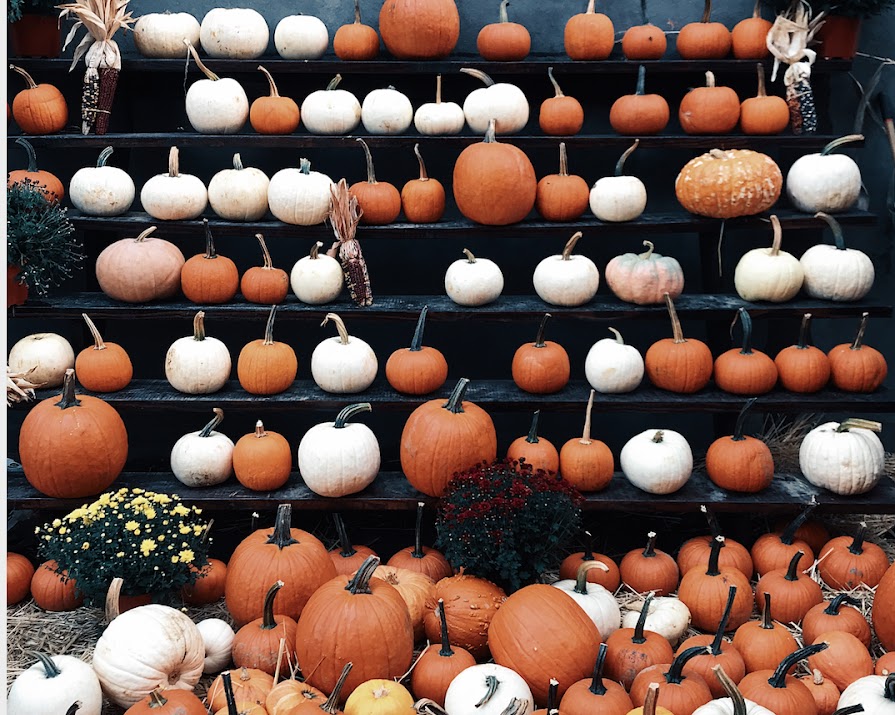 5 reasons to eat more pumpkins before Halloween