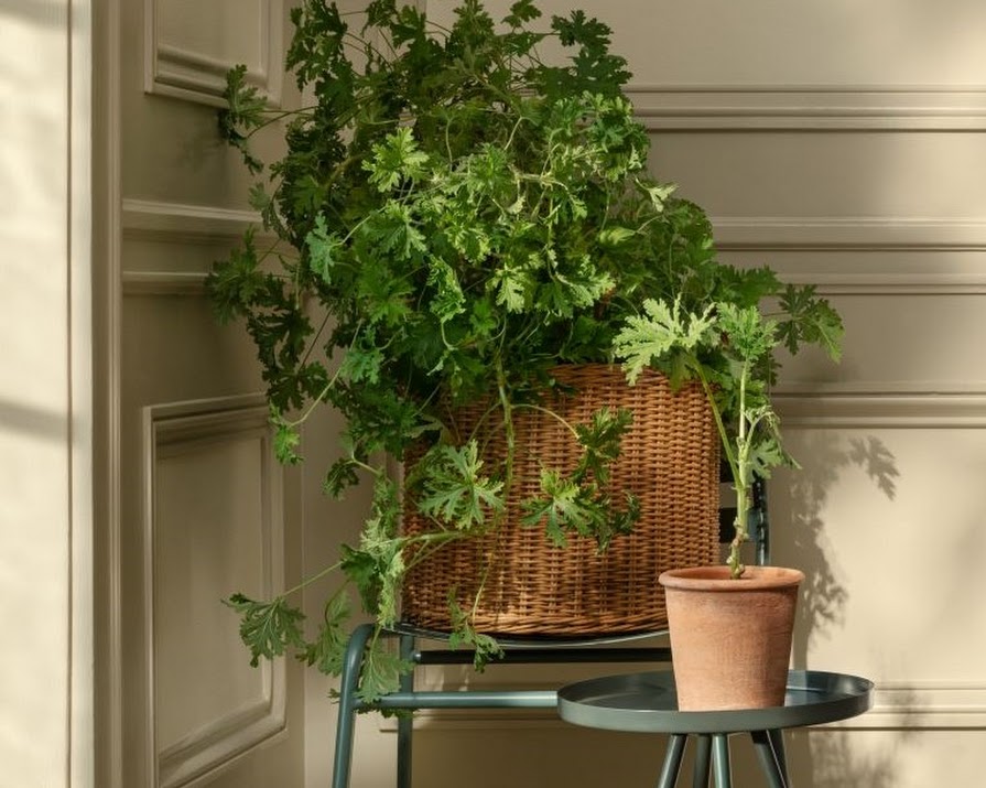 Practical and stylish: 12 baskets we absolutely love for every budget