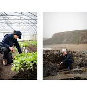 Meet the Irish women growers and foragers merging artistry with ecology