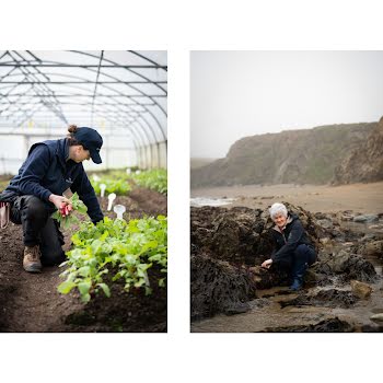 Meet the Irish growers and foragers merging artistry with ecology