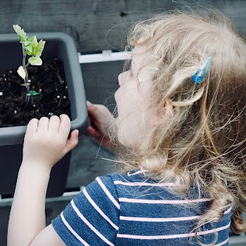 The best resources to get kids growing their own fruit and vegetables