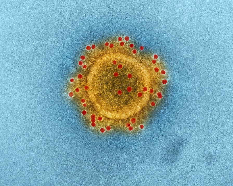 Coronavirus update: All the main Covid-19 news from the weekend