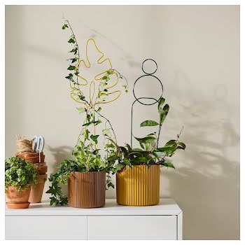 Add some greenery to your space with Ikea’s new plant-focused collection
