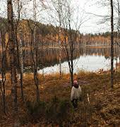 Some of Ireland’s best autumnal forest walks to try over the mid-term