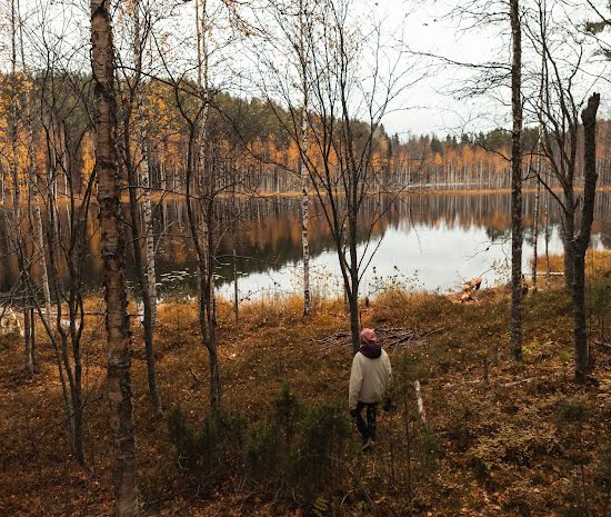 Some of Ireland’s best autumnal forest walks to try over the mid-term