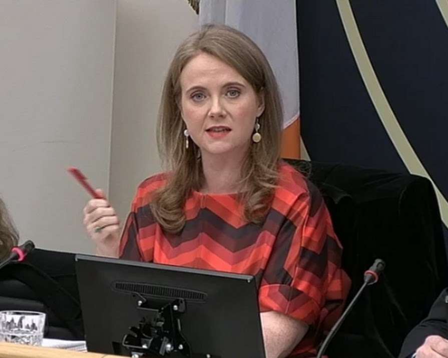 ‘Hurtful and extremely unhelpful’: Irish Society for Autism weighs in on Catherine Noone’s comments