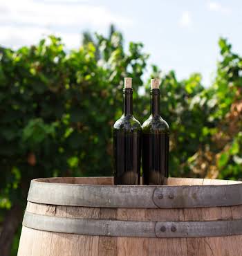 Italian wine