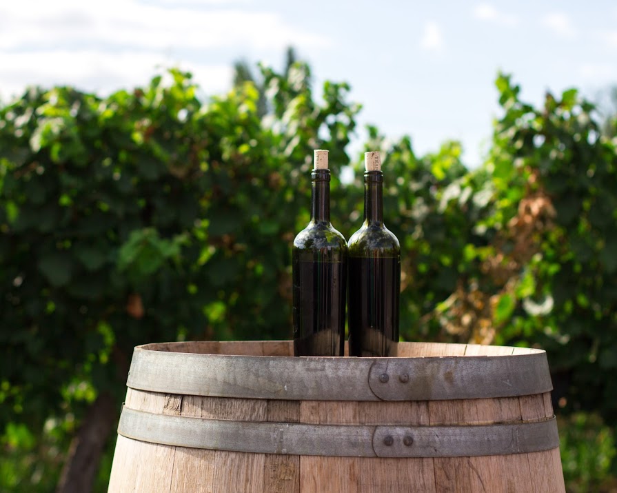 Take an Italian wine tour – no passport required