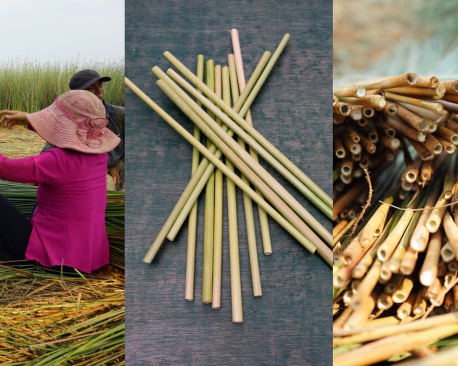 #ShopIrish Spotlight: GIOP Straws, the sustainable grass straws making Ireland greener