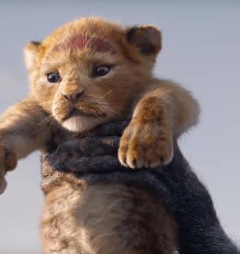 The Lion King, live action remake by Disney