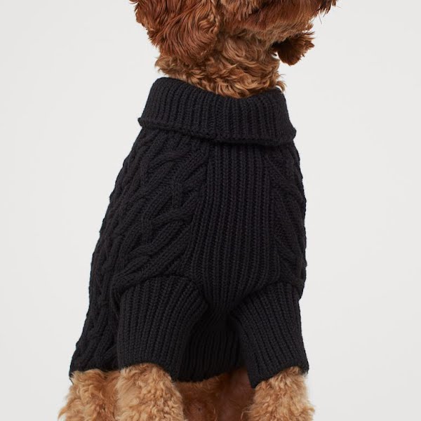 Cable-knit dog jumper,€14.99, H&M
