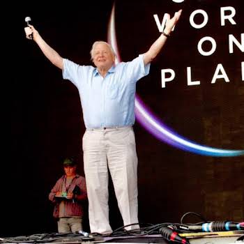 ‘Thank you’: David Attenborough praises plastic ban at Glastonbury