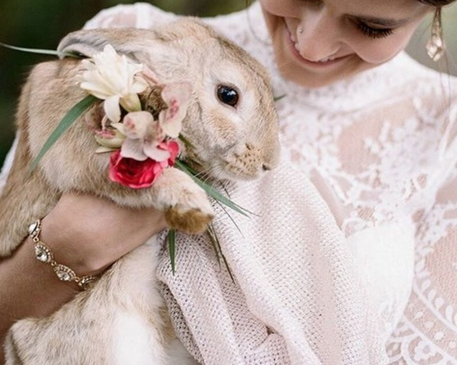 InstaWedding: Pet-Inclusive Wedding Snaps Are All The Rage