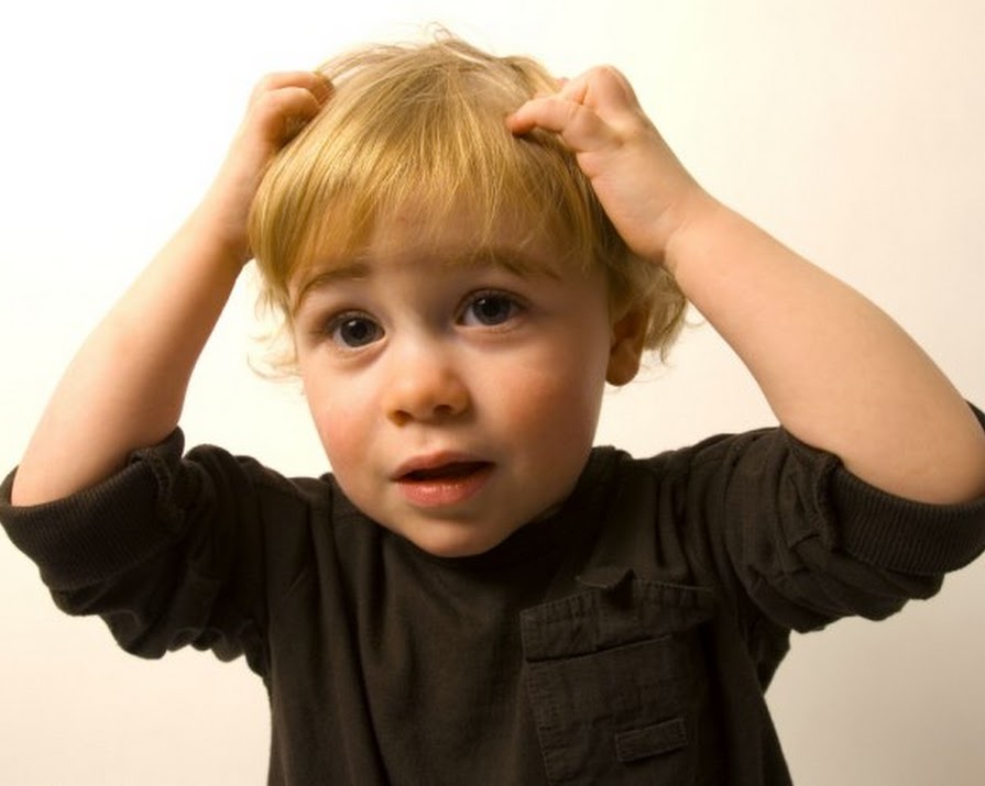 The Little Buggers: Dealing With Head Lice