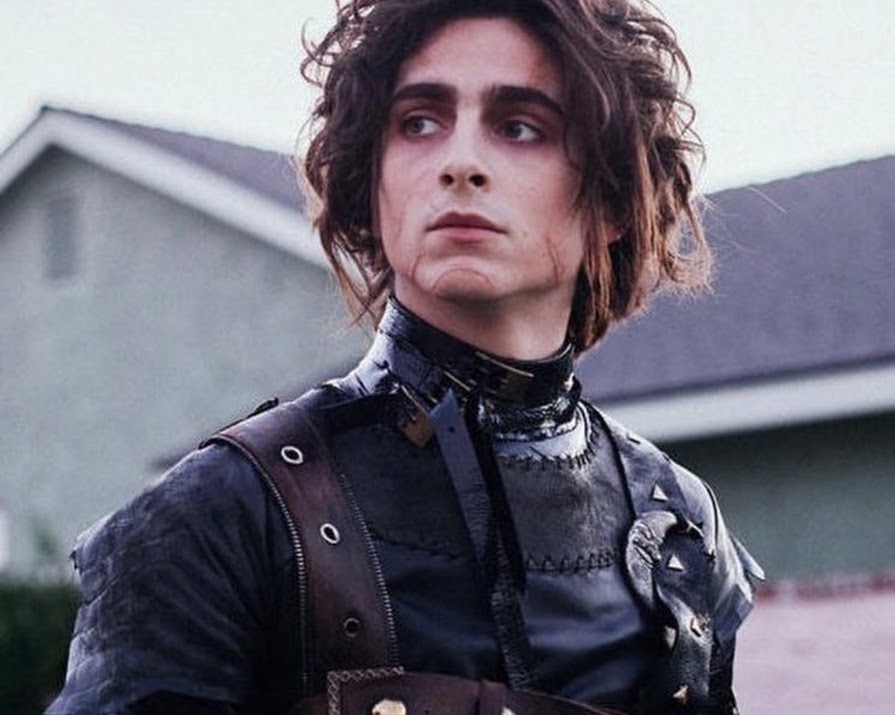 WATCH: Everyone is talking about Timothée Chalamet paying homage to Edward Scissorhands