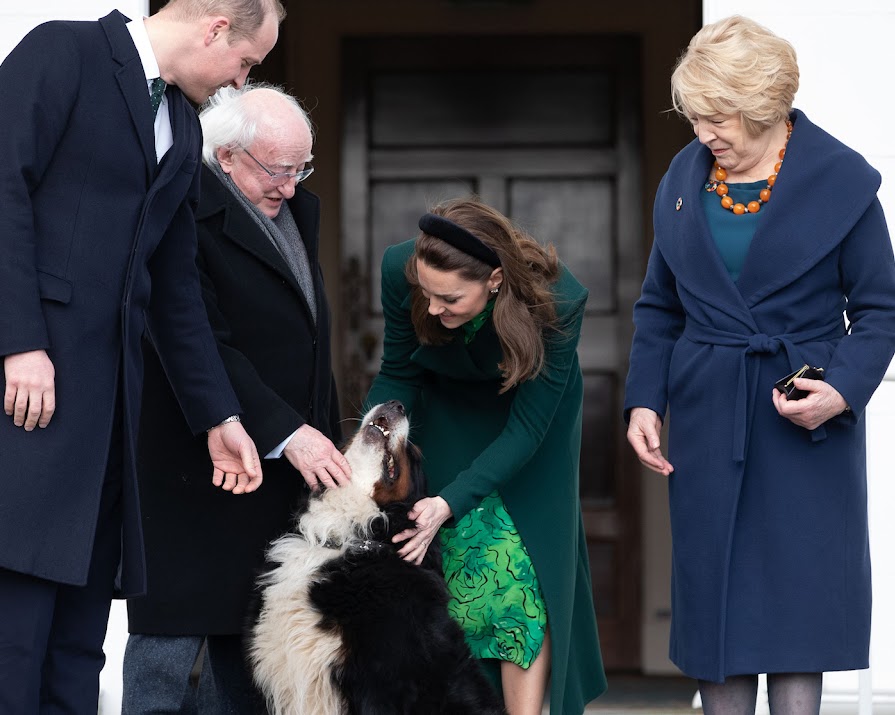 Bród steals the show as Prince William and Kate Middleton visit Áras an Uachtaráin