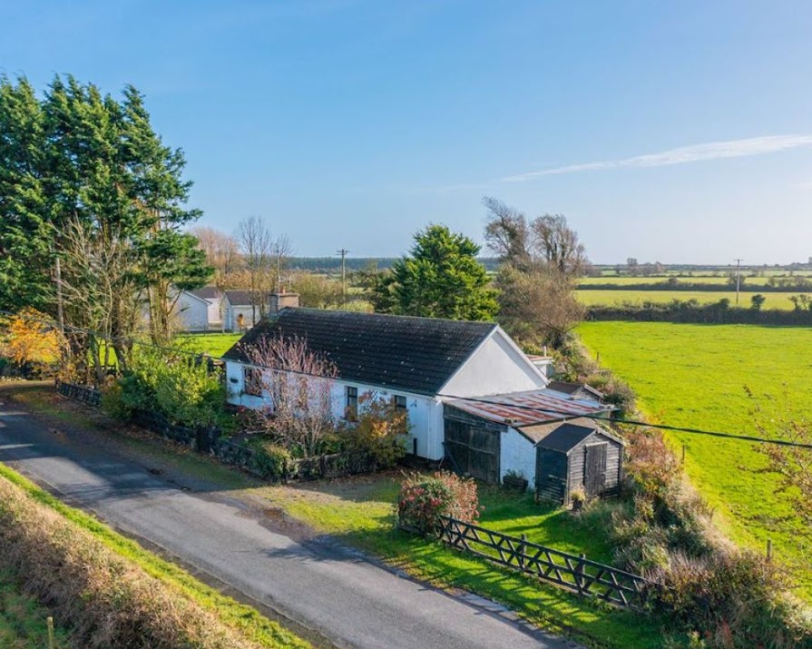 This adorable three bedroom Waterford cottage is currently on the market for €280,000
