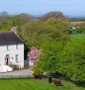 This majestic country home in Naas is on the market for €1.85 million