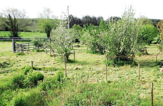 Leitrim cottage