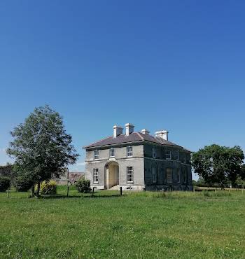 restoring Ireland's old houses