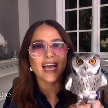 Salma Hayek’s pet owl threw up on Harry Styles’ hair, and we have so many questions