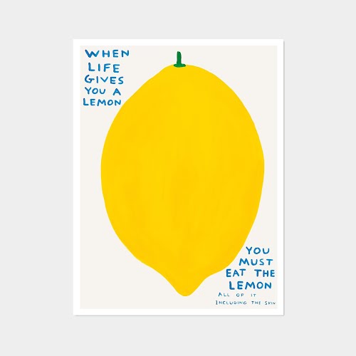 Etsy Genuine David Shrigley poster: When Life Gives You A Lemon, €45