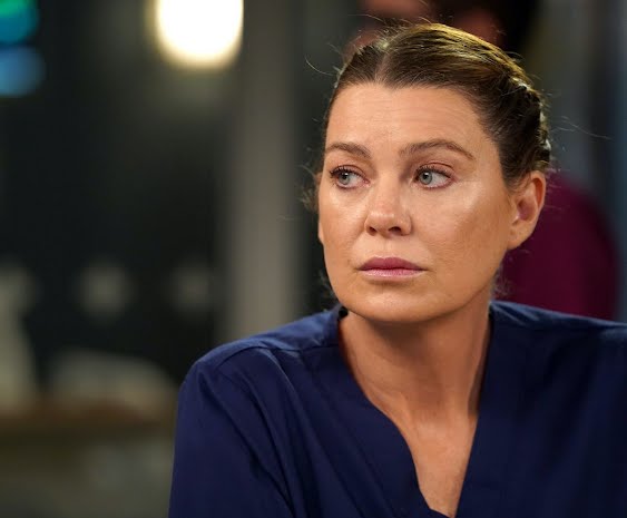 Grey's Anatomy writer Grey's Anatomy writer