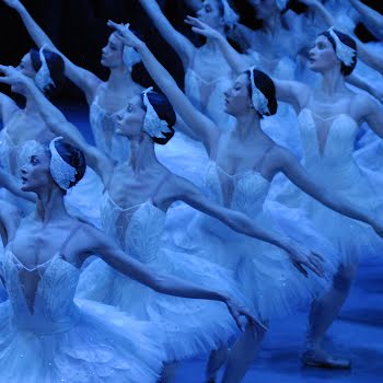 Why you can’t miss Swan Lake’s enchanting run at the Bord Gáis Energy Theatre