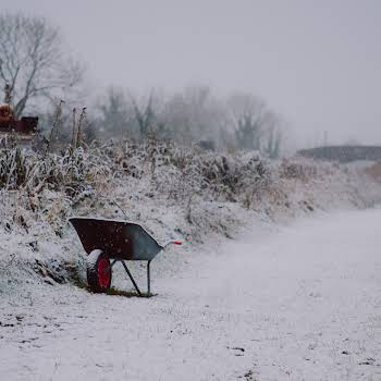 Possibility of snow as temperatures set to drop below freezing tonight