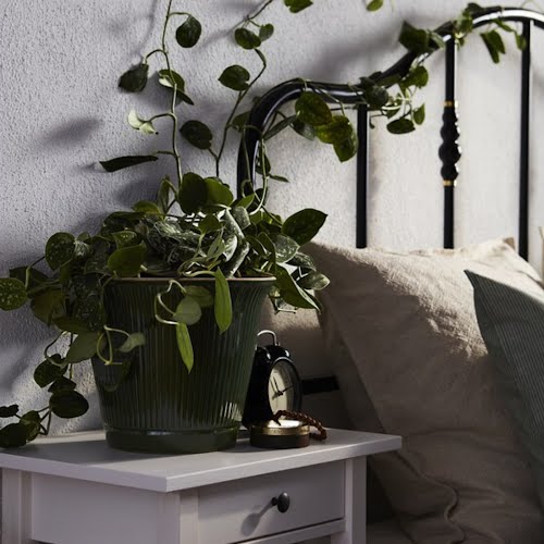 Kamomill plant pot, €19, Ikea