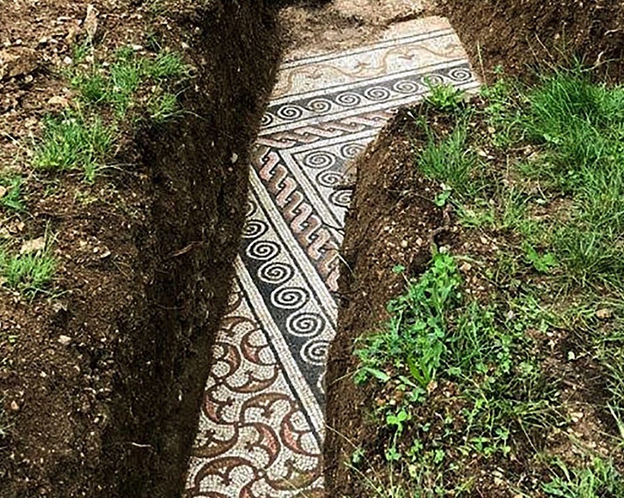 The perfectly preserved mosaic floor of an ancient Roman villa was just discovered under a vineyard in Italy
