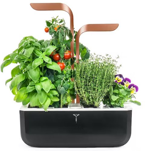 Veritable Smart 4-Slot Indoor Garden, €199