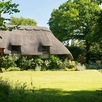 Sienna Miller’s home is a 16th century English thatched cottage of dreams — see for yourself