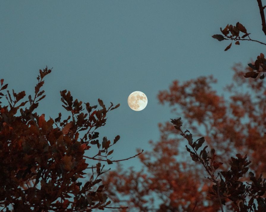 Here’s what you can expect from the full Flower Moon and lunar eclipse in Scorpio