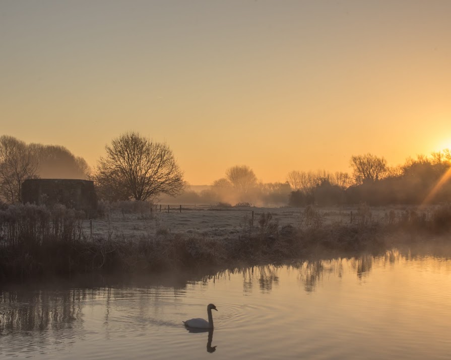 Mayday! Met Éireann has warned the public to expect frost this week