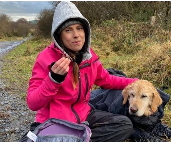 WATCH: Dog lost for two weeks in Wicklow mountains found safe