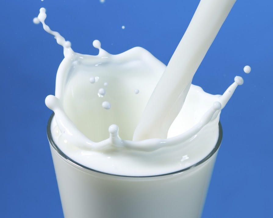 More Proof That Low-Fat Milk Isn’t All That Good For You