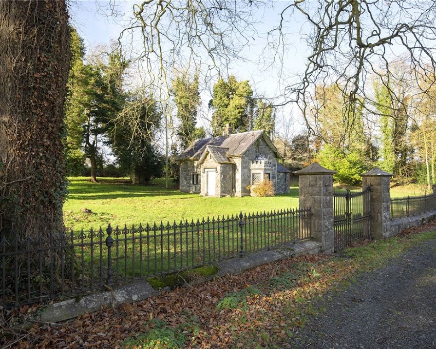 Someone buy this adorable Cavan gate lodge for €100,000 and give it the restoration it deserves