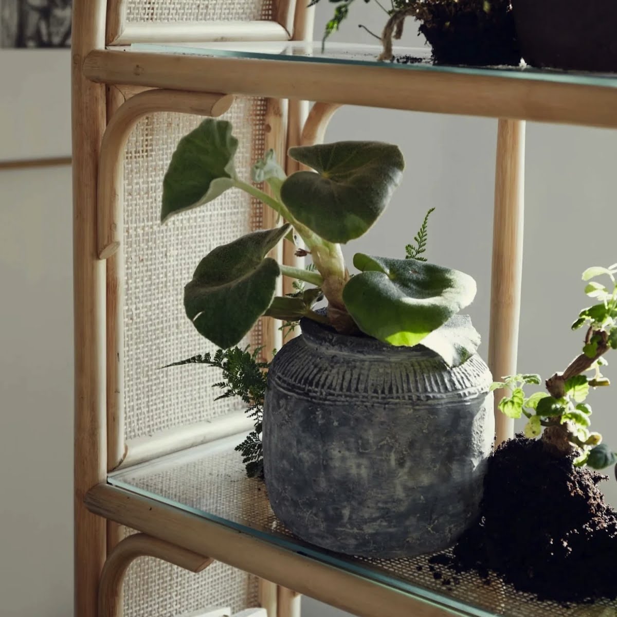 Grey raw finish planter, €30, Dwell by Eilish Rickard Interiors